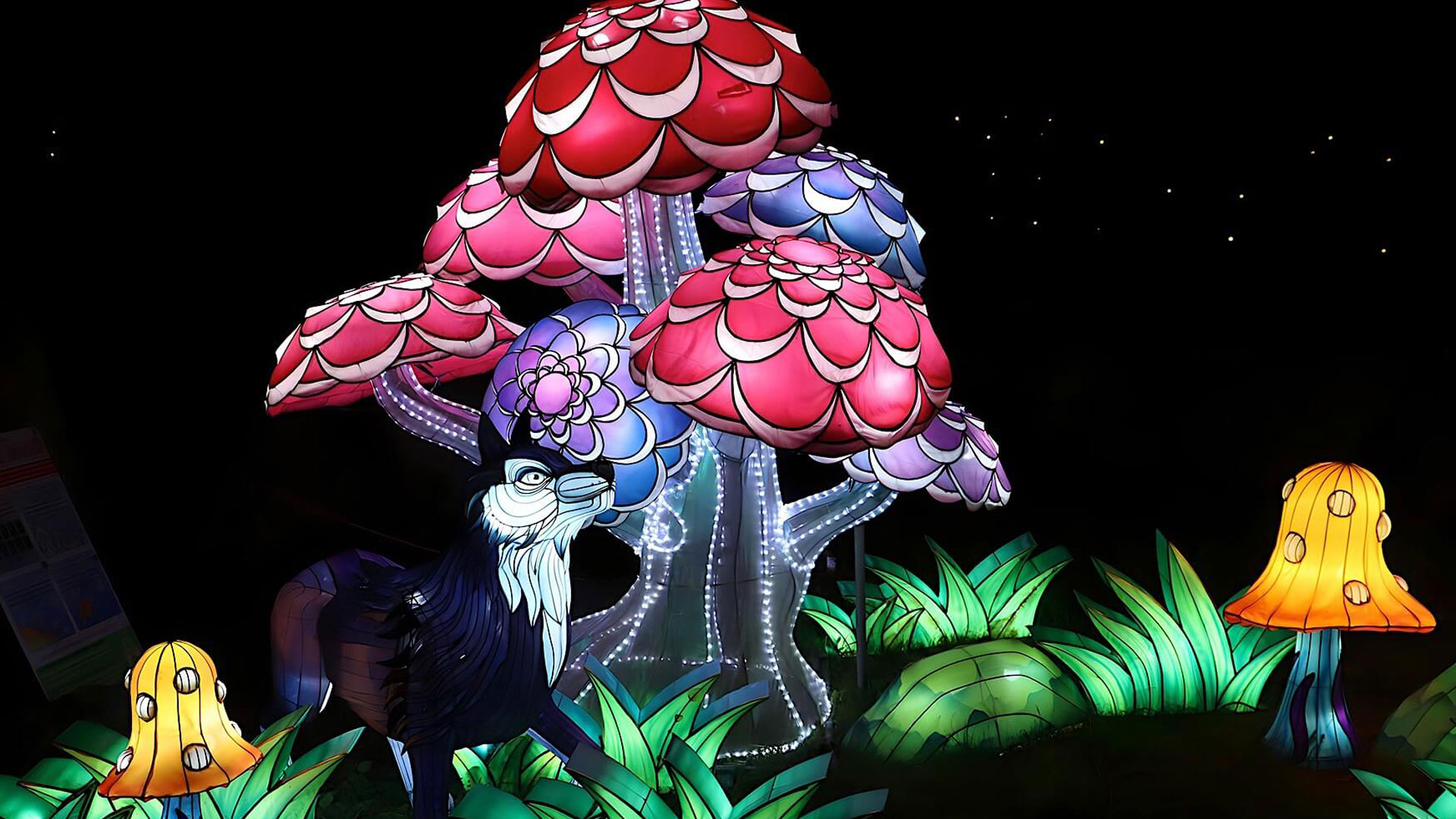 WonderLights Bruxelles Château de GrandBigard Jusqu'au 16 Fev 2024